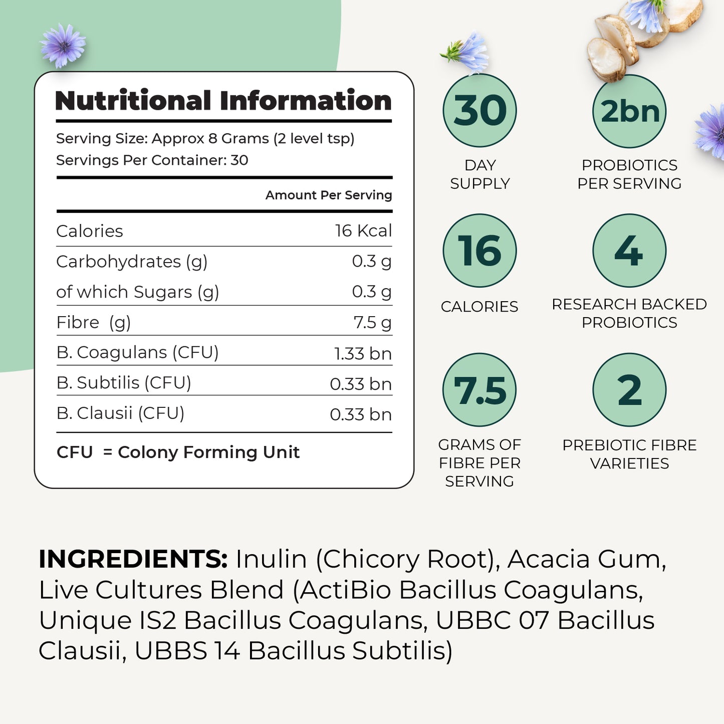 Fibre Complex
