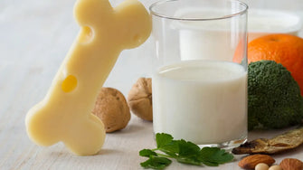 Bone Health and Menopause: How to Stay Strong, Balanced, and Resilient Through Midlife
