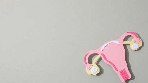 PCOS and Gut Health: What’s the Connection?