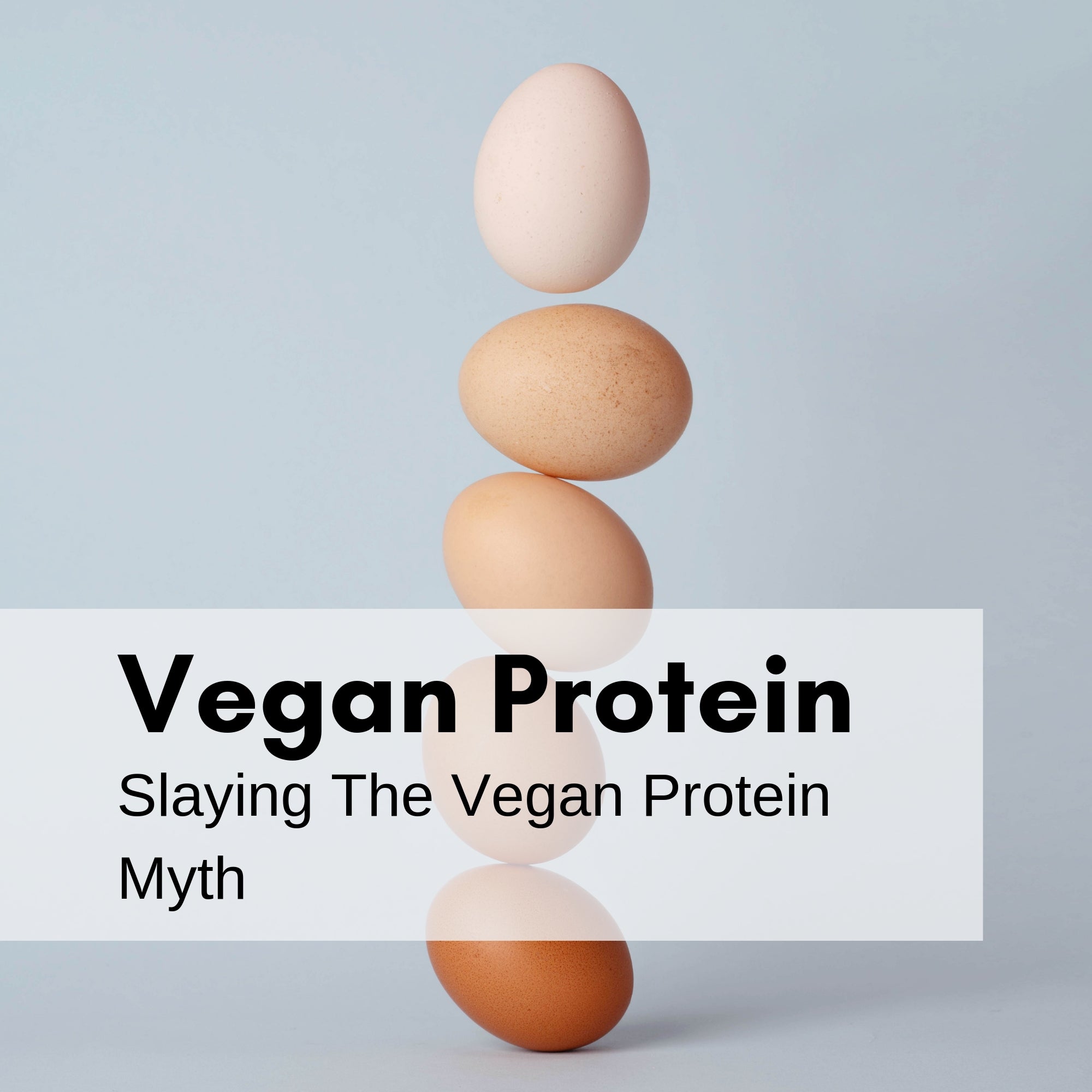 Time To Slay The Vegan Protein Myth !