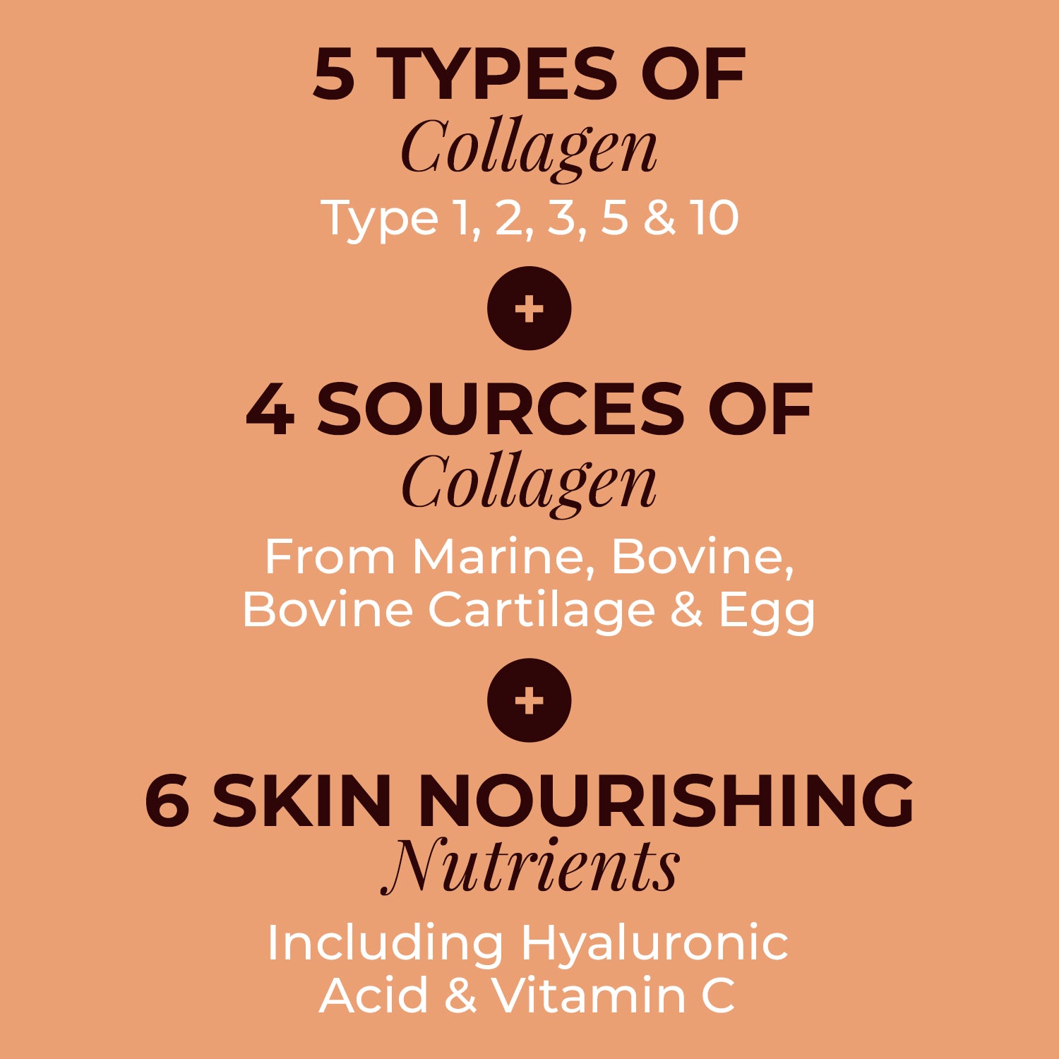 Multi Collagen Capsules