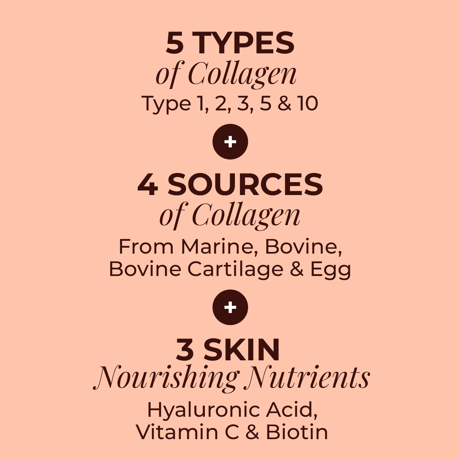 Multi Collagen Powder