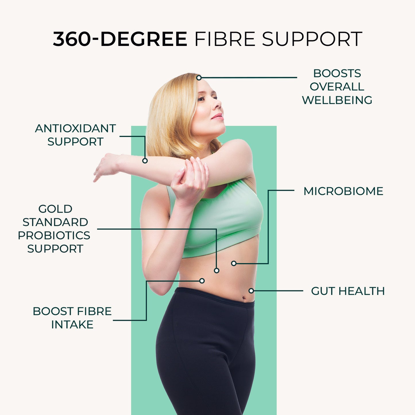 Fibre Complex