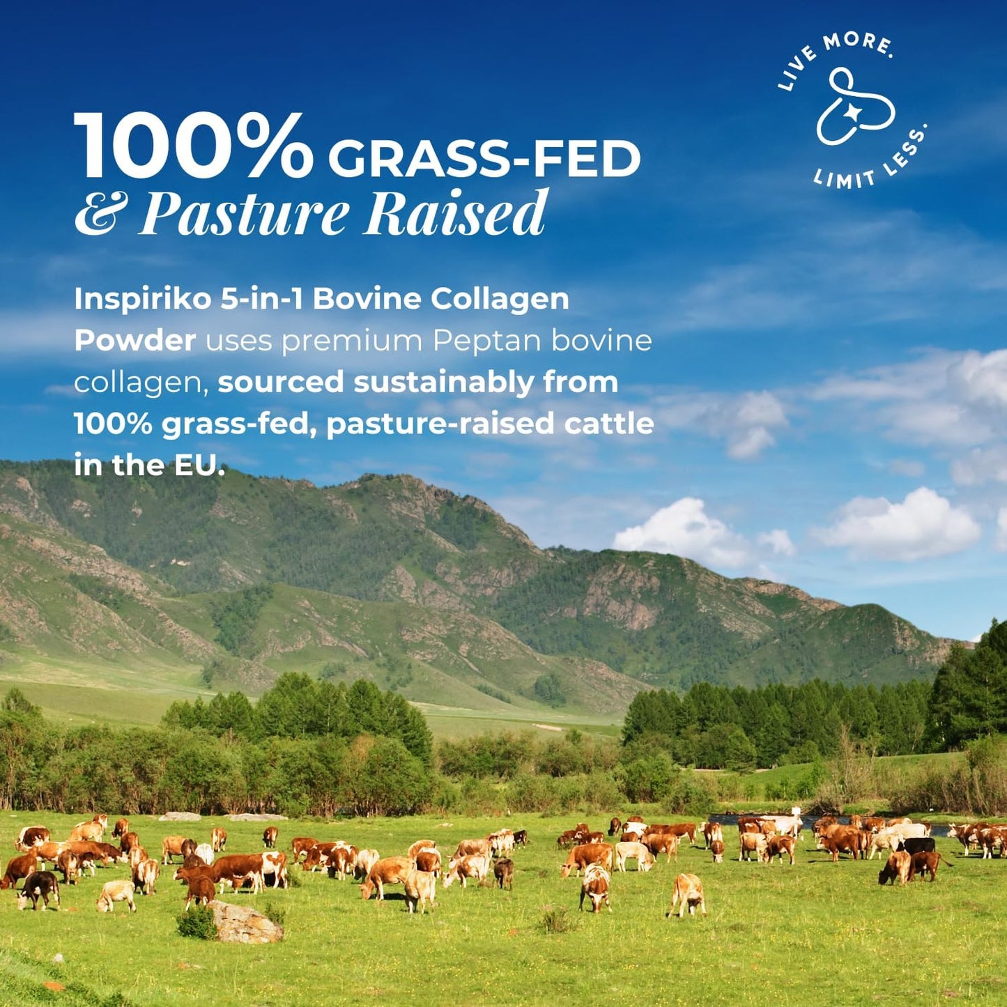 Bovine Collagen Powder