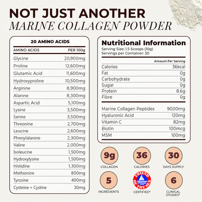 Marine Collagen Powder