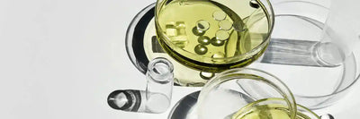 Best Female Hormone Balance Supplements​
